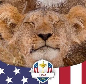 Meet your Posher, Drew